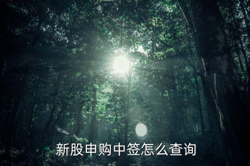  新股申購(gòu)中簽怎么查詢(xún)