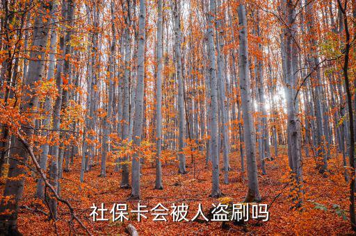 社?？ū槐I刷怎么辦,社保補(bǔ)卡服務(wù)丟了怎么辦