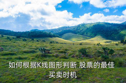 怎么判斷股票買(mǎi)賣,國(guó)泰君安上海分公司:只有有人賣才能有人買(mǎi)