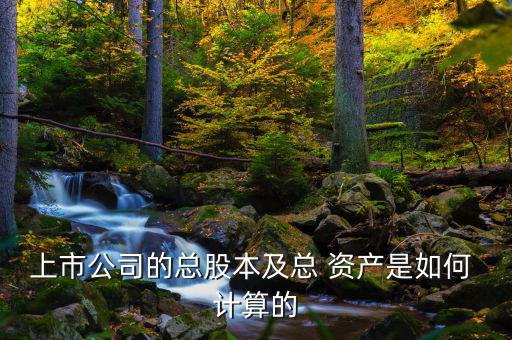 上市公司的總股本及總 資產是如何 計算的