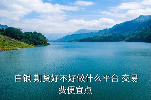  白銀 期貨好不好做什么平臺 交易費(fèi)便宜點(diǎn)