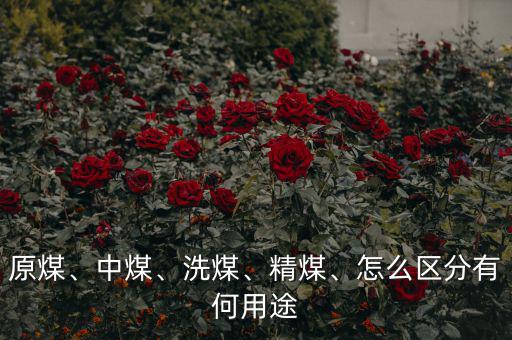 原煤、中煤、洗煤、精煤、怎么區(qū)分有何用途