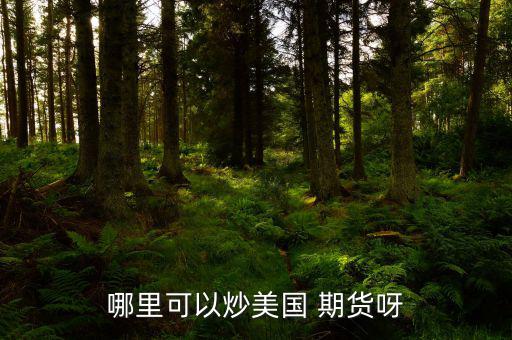 怎么炒美國期貨,期貨交易特點:交易費用由期貨公司提供；