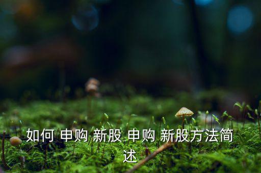 如何 申購 新股 申購 新股方法簡(jiǎn)述