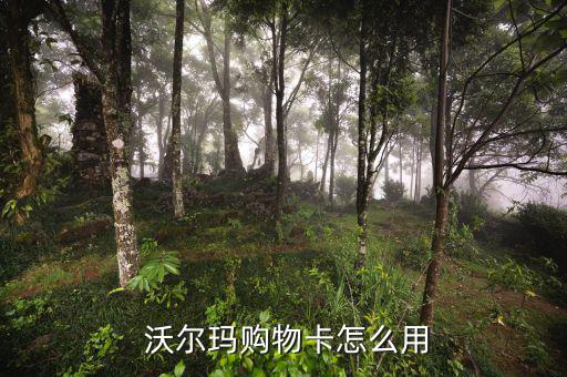 沃爾瑪app怎么設置城市,沃爾瑪如何使用網購卡?