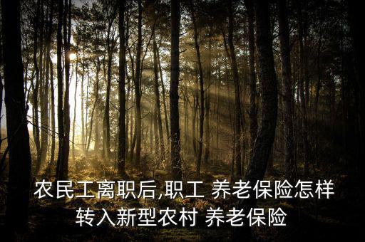  農(nóng)民工離職后,職工 養(yǎng)老保險怎樣轉入新型農(nóng)村 養(yǎng)老保險