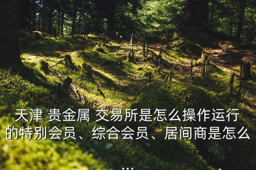 天津 貴金屬 交易所是怎么操作運(yùn)行的特別會(huì)員、綜合會(huì)員、居間商是怎么...
