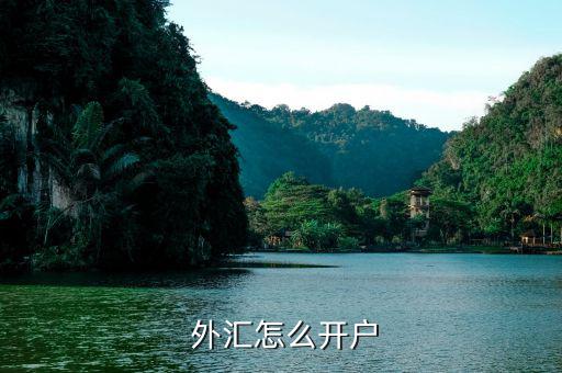  外匯怎么開(kāi)戶(hù)