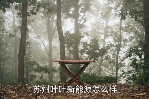 蘇州二葉怎么樣,?？粕究七x拔性考試