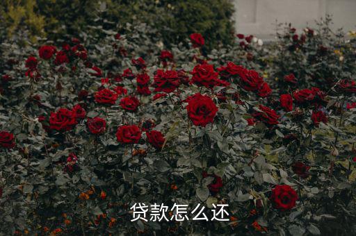 貸款怎么還合適,中國銀行推出等額本息、月均本金等還款方式