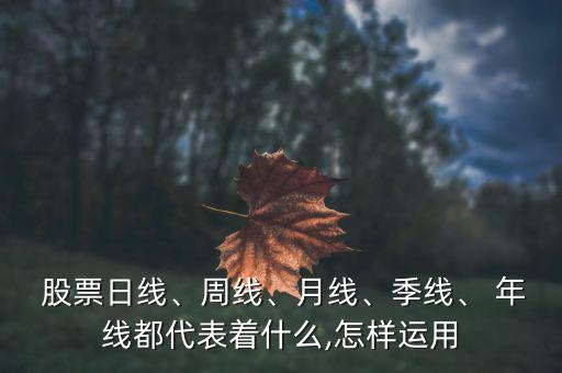 怎么看股票年線(xiàn),如何在支付寶股票上閱讀年線(xiàn)?