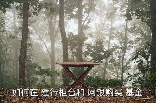如何在 建行柜臺和 網銀購買 基金