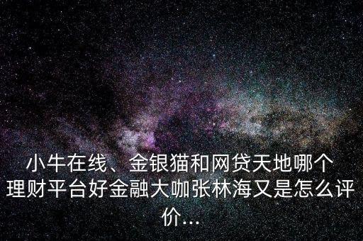  小牛在線、金銀貓和網(wǎng)貸天地哪個(gè) 理財(cái)平臺好金融大咖張林海又是怎么評價(jià)...