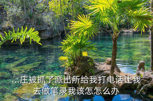 怎么做黑莊,如何成為股市理財(cái)專家?