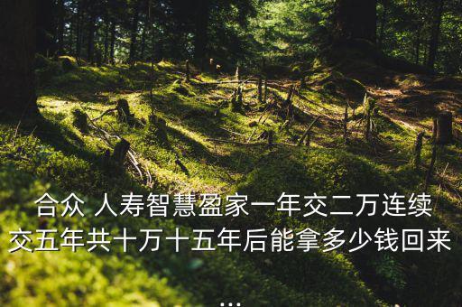  合眾 人壽智慧盈家一年交二萬(wàn)連續(xù)交五年共十萬(wàn)十五年后能拿多少錢(qián)回來(lái)...