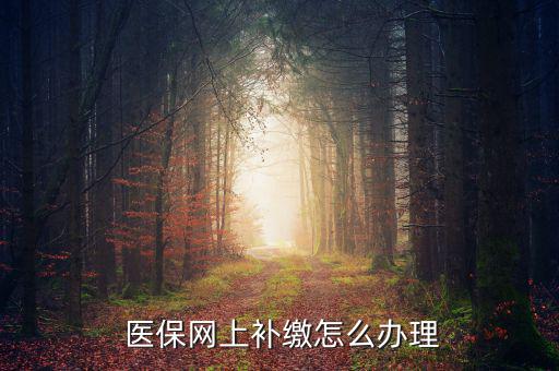 怎么補交醫(yī)保,因個人原因斷了社?？缮暾埞緸樽约豪U納費用