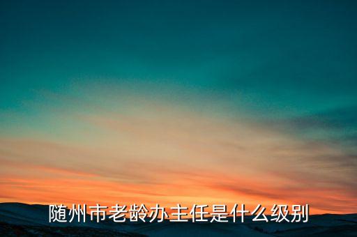 全國(guó)老齡辦副主任什么級(jí)別，全國(guó)老齡委辦公室副主任 什么級(jí)別