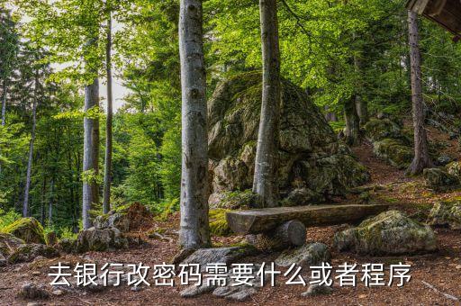 銀行卡改密碼需要什么，改銀行卡密碼要有哪些條件