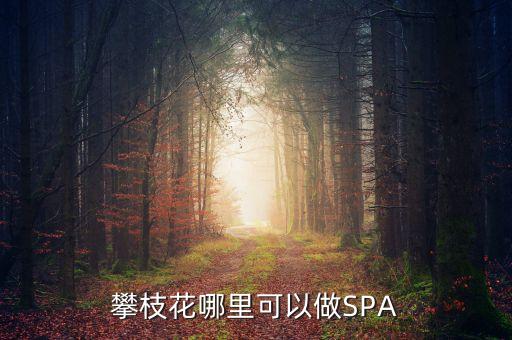 雅化集團(tuán)攀枝花恒泰做什么的，攀枝花哪里可以做SPA