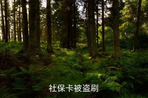 盜刷社?？ㄊ鞘裁醋?，小偷持盜竊所得的社?？ǖ剿幍晁⒖ㄏM藥店是否構(gòu)成銷贓罪  搜