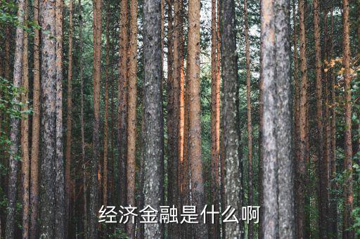 金融資源是什么，經(jīng)濟(jì)金融是什么啊