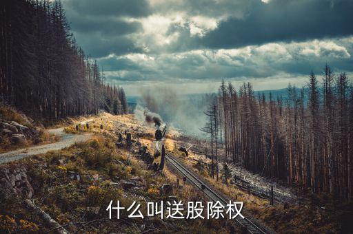 送股什么意思，什么是送轉(zhuǎn)股