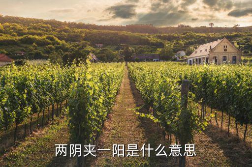 股票兩陰一陽又兩陰什么走勢，股市技術圖形兩陰一陽又兩陰后市怎樣