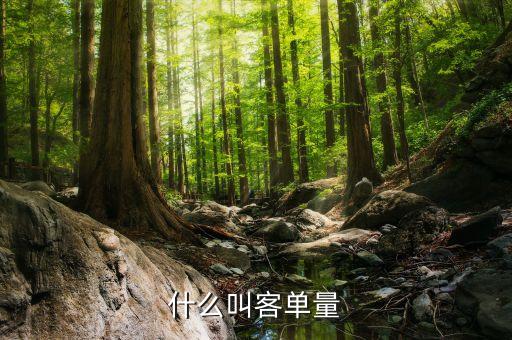 客戶規(guī)模包括什么，用戶規(guī)模什么意思與用戶數(shù)量有什么區(qū)別