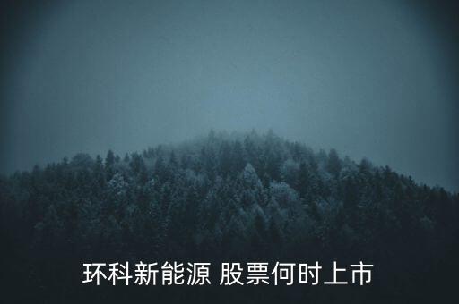 新能源股票什么時候上市呢，環(huán)科新能源 股票何時上市