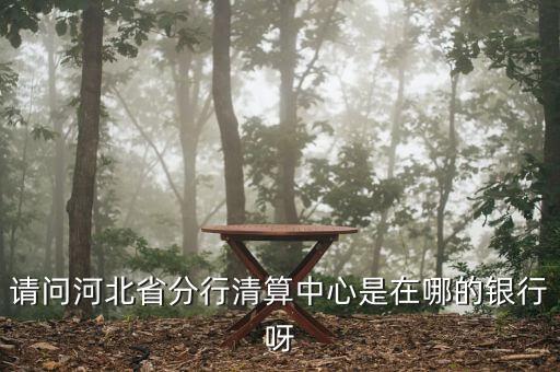 河北省分行清算中心是什么，請問河北省分行清算中心是在哪的銀行呀