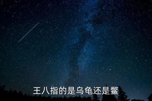 海王八指什么，什么是海王八