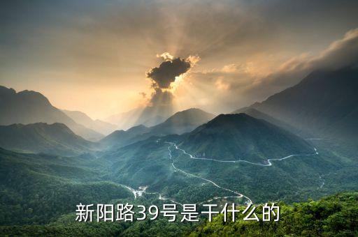 上海新陽做什么的，新陽路39號是干什么的
