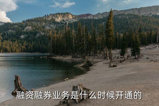 今年融券政策什么時(shí)候放開(kāi)的，融資融券什么時(shí)候開(kāi)始