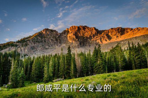 郎咸平是干什么的，郎咸平是