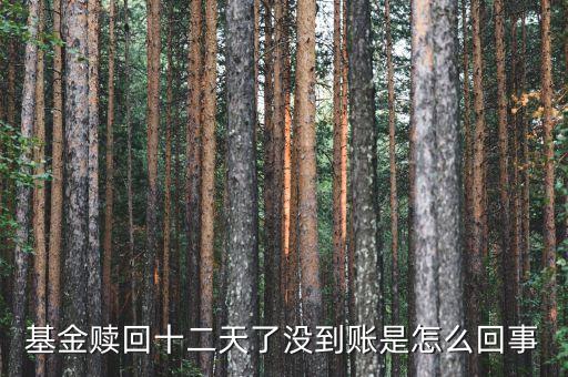 贖回成13天了為什么錢(qián)沒(méi)到賬，基金贖回成功了 為什么還沒(méi)到帳
