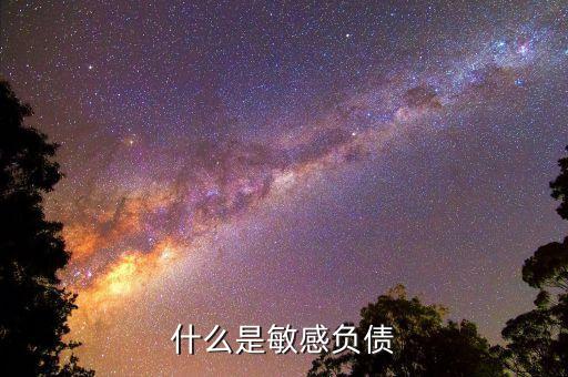 什么是直接負債，什么是直接還款