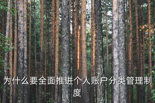 為什么進行賬戶分類，為什么要全面推進個人賬戶分類管理制度