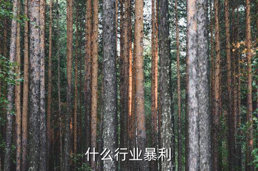 什么行業(yè)暴利，什么行業(yè)暴利
