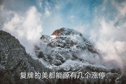 美都能源為什么停牌了，美都能源臨時(shí)停牌利好還是壞