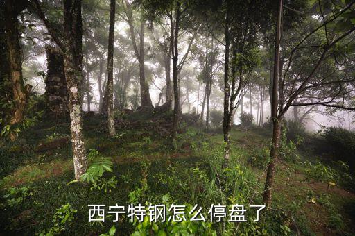 西寧特鋼為什么停牌，西寧特鋼怎么停盤了