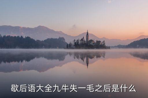 九牛失一毛的下預示什么，九牛失一毛