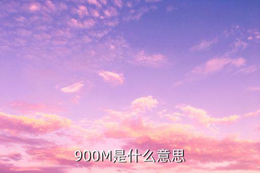 負債900m是什么意思，900m是什么意思