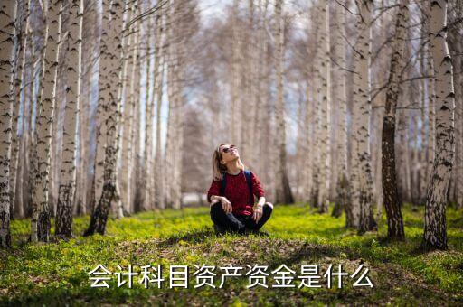 什么是閉產(chǎn)資金，什么是清產(chǎn)核資企業(yè)進行清產(chǎn)核資工作從基準日起的工作內(nèi)容主要