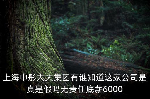 申彤大大集團(tuán)賺的什么錢(qián)發(fā)工資，上海申彤大大集團(tuán)有誰(shuí)知道這家公司是真是假嗎無(wú)責(zé)任底薪6000