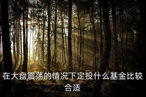大盤調(diào)整買什么基金好，在大盤震蕩的情況下定投什么基金比較合適