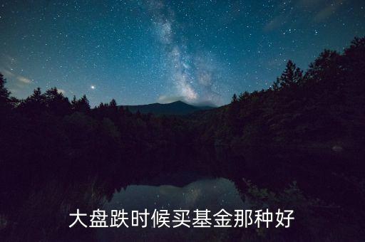 大盤(pán)跌時(shí)候買(mǎi)基金那種好