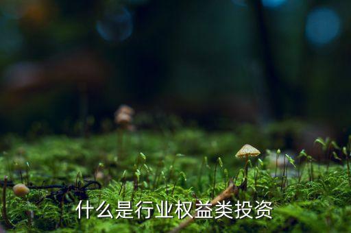 什么是權(quán)益類投資產(chǎn)品，權(quán)益類投資是什么
