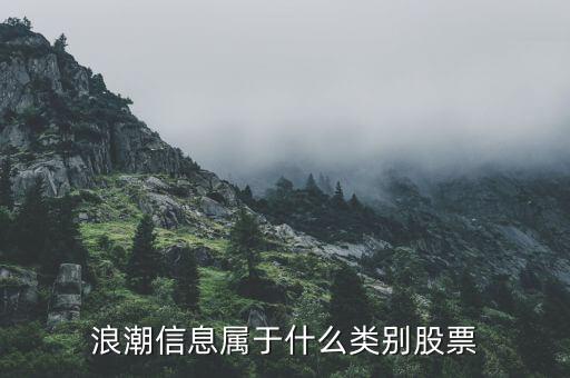 浪潮信息是什么板塊，000977浪潮信息是中小板嗎