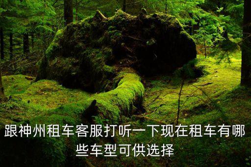 神州租車有什么車，神州租車有哪些車型