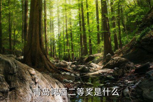青島啤酒2等獎(jiǎng)是什么，請(qǐng)問昨天喝了一瓶青島啤酒上面寫了2等獎(jiǎng)是什么意思獎(jiǎng)品是什么